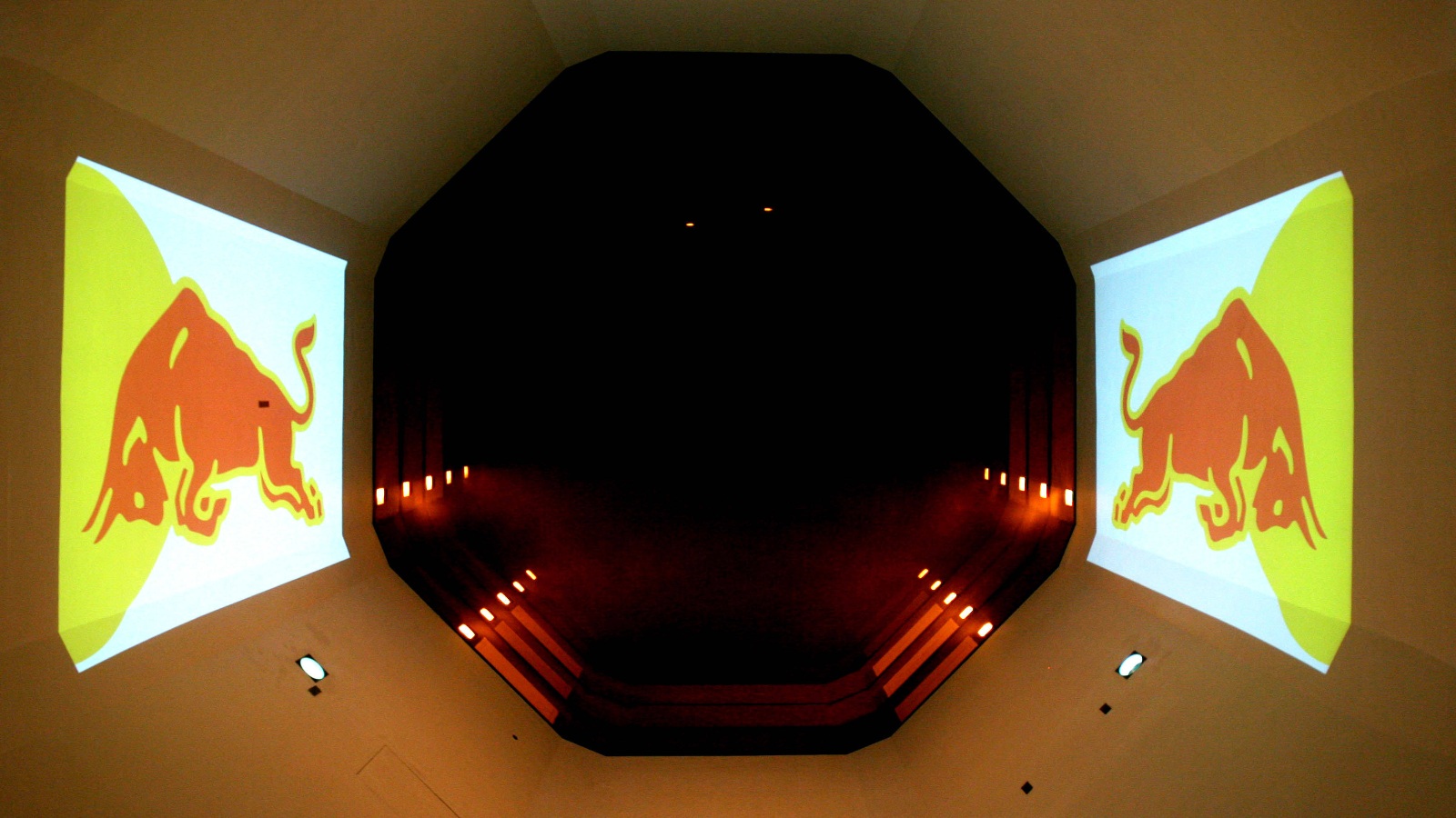 Red Bull's wind tunnel.