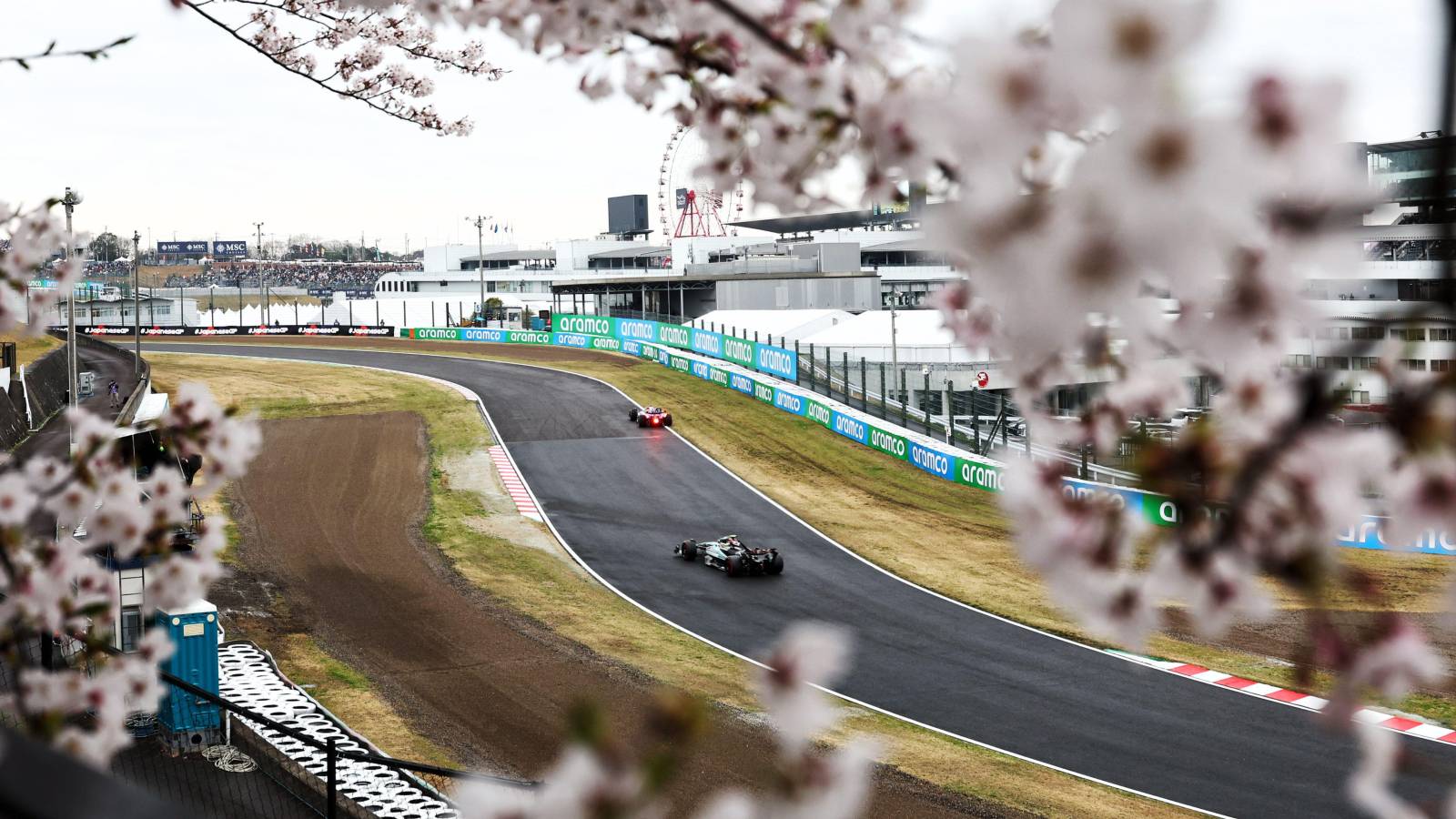 Mercedes driver Lewis Hamilton through the blossom at the 2024 Japanese Grand Prix