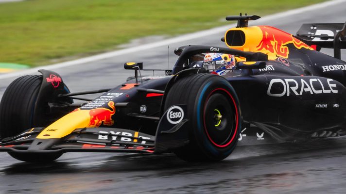 Max Verstappen, Red Bull, 2024 Brazilian Grand Prix.