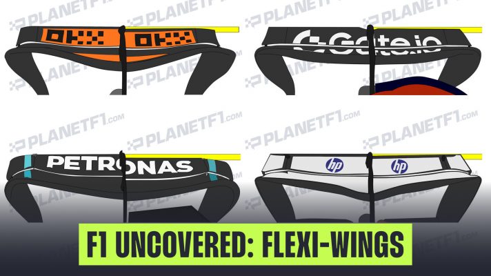FLEXI-WINGS