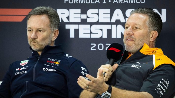 Christian Horner and Zak Brown