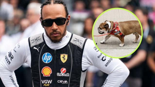 Lewis Hamilton and Roscoe