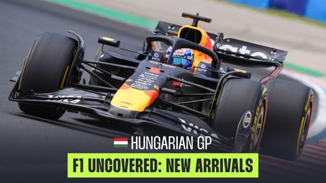RED BULL RB21