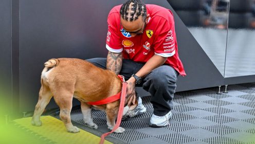 Lewis Hamilton asks for ‘thoughts and prayers’ as beloved Roscoe suffers health scare