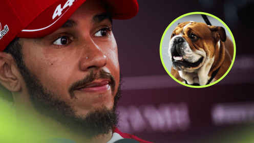 Lewis Hamilton pulls out of latest Ferrari appearance after heartbreaking Roscoe update