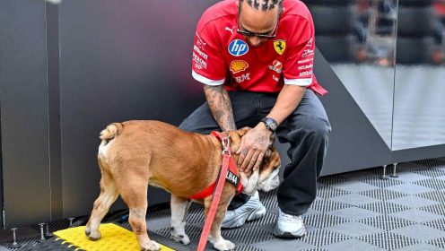 Lewis Hamilton announces death of beloved Roscoe – round-up