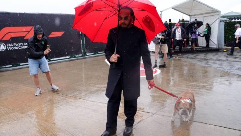 Lewis Hamilton ‘overwhelmed’ by 10 million displays of support following Roscoe death