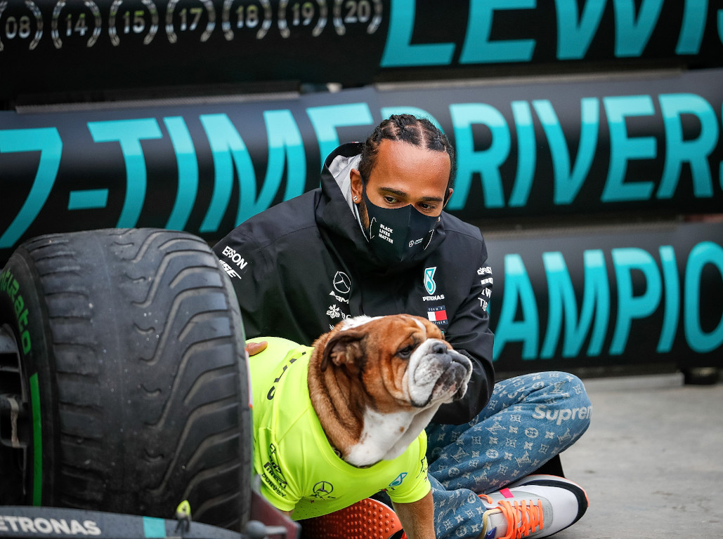 Lewis Hamilton Roscoe World Champion