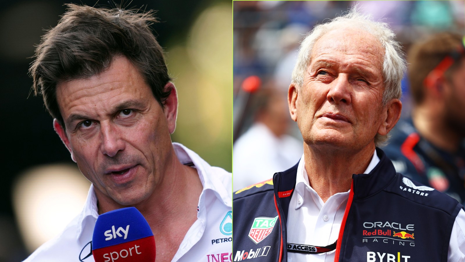Toto Wolff and Helmut Marko.