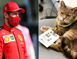 RIP Formulino:诅咒Se的标志性的伊莫拉的猫bastian Vettel