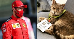 Sebastian Vettel and Formulino the Imola cat.