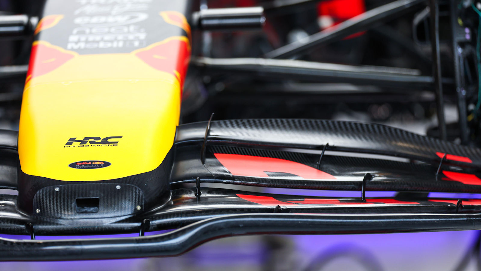 Red Bull RB21 nose and front wing close up