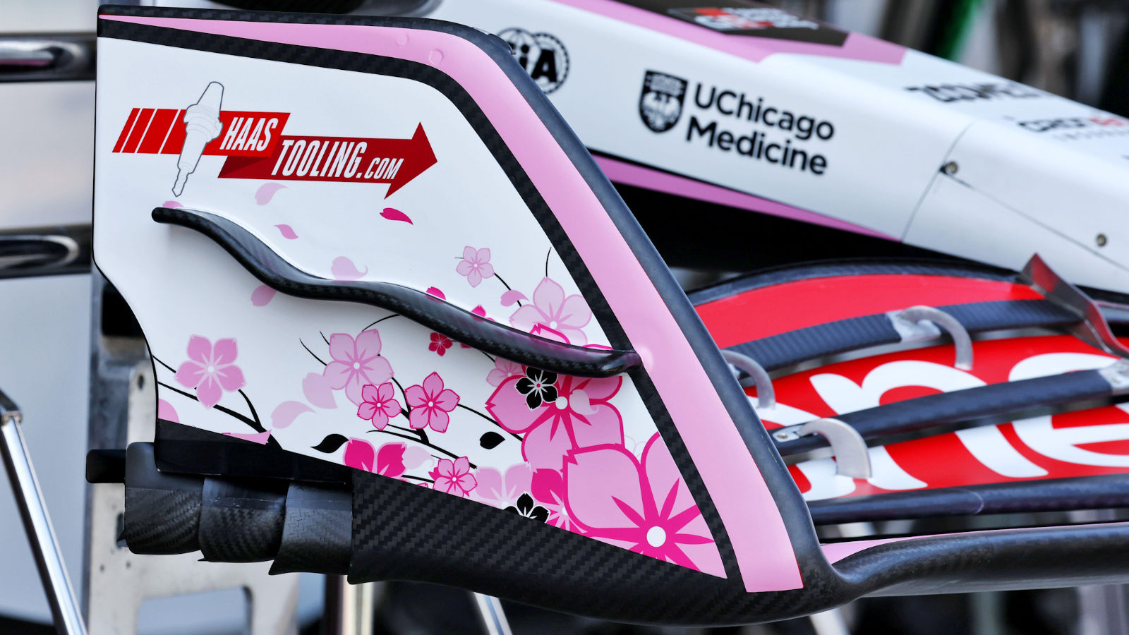 Haas VF-25 front wing endplate